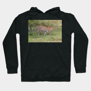 African Leopard Hoodie